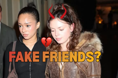 Sophie Hall-Mochkatel faces Hate Online for Being a “Fake Friend”