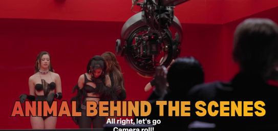 KATSEYE Drops Behind-The-Scenes Footage From “Animal” Music Video Shoot